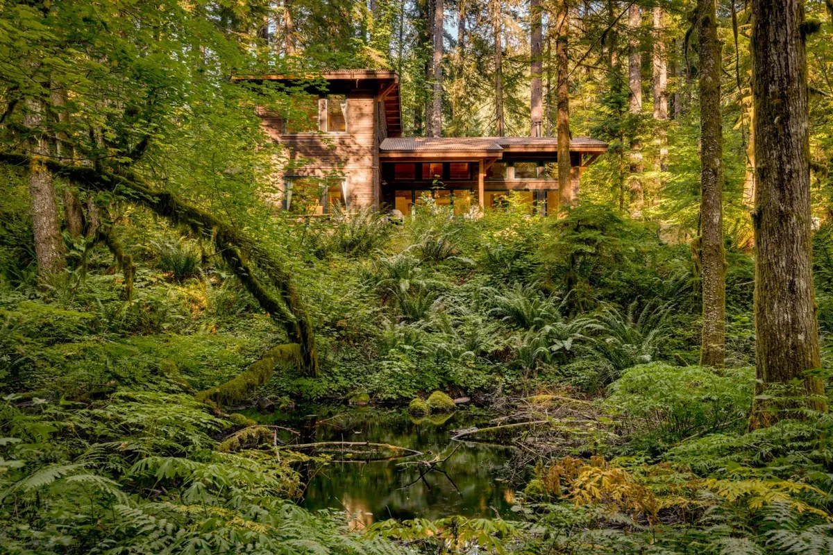 A modern cabin is tucked amidst lush greenery, with a reflective pond in the foreground and forest trails winding nearby. The setting is serene and natural, hinting at both relaxation and the opportunity for outdoor activities like hiking and bird watching.