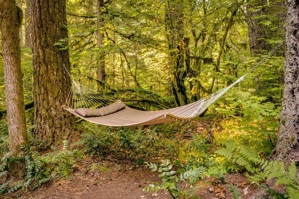 A hammock suspended between trees, with soft sunlight filtering through the leaves. The surrounding woods create a peaceful, almost secluded atmosphere perfect for reading, napping, or meditating.