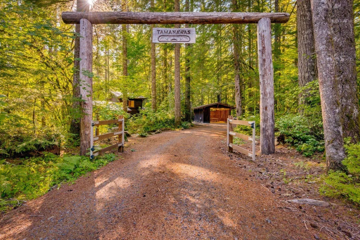 A welcoming wooden archway frames a sun-dappled pathway leading into the forest, with surrounding trees and rustic buildings softly visible. The entry feels inviting, evoking the beginning of a nature-filled exploration.